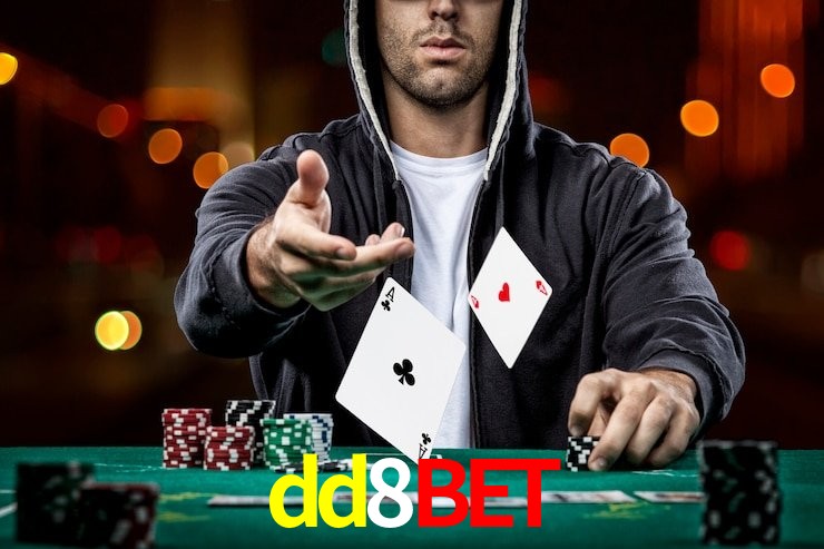 dd8.bet